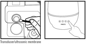 Transducer membrane