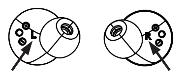 Visual diagram of just the earbuds