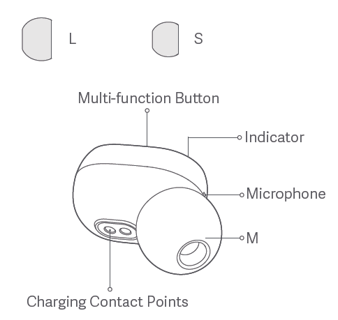 Earbuds with 2 different sized ear mounts