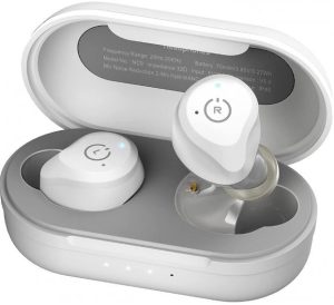 TOZO NC9 Earbuds Manual Image