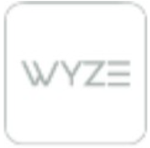 Wzye button logo