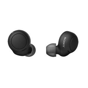 SONY WF-C500 Wireless Earbuds User Guide Image