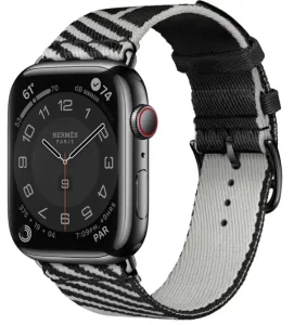 Apple Smart Watch Manual Image
