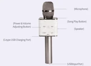 ROYCHE BT21 Minini Bluetooth Microphone Speaker Manual Image