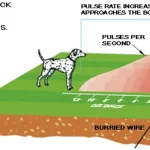 AGPTEK Smart Dog In-ground Pet Fencing System W-227 Manual Image