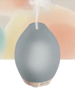 Homedics ARMH-590 Aroma Diffuser Manual Image