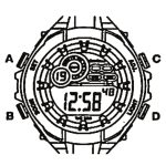 Armitron M833 Series Watch Manual Image