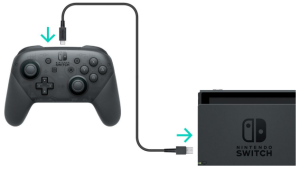 Nintendo Switch Pro Controller manual Image