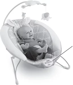 Fisher-Price CHM79 Deluxe Bouncer manual Image