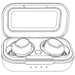 HolyHigh X3 Truly Wireless Earphones manual Image
