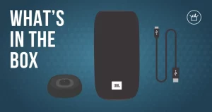 JBL Link Portable Manual Image