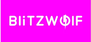 Blitzwolth logo