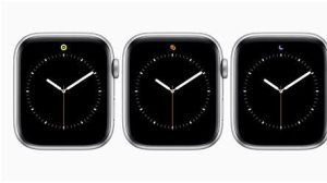 The Apple Watch status icons manual Image