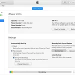 Back up your iPhone, iPad, or iPod touch with iTunes on your PC manual Thumb