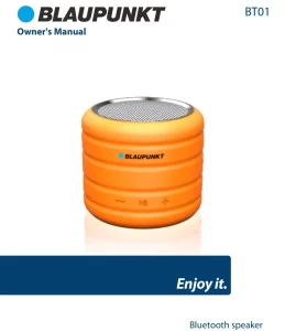 BLAUPUNKT Bluetooth Speaker BT01 Manual Image