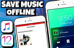 Add music to iPhone and listen offline manual Image