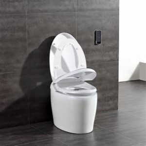 OVE Smart Toilet TUVA Manual Image
