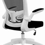 Felix King Ergonomic Adjustable Office Desk Chair Manual Thumb