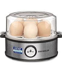 moa Egg Boiler Manual Image