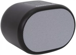Goodmans 359704 Portable Bluetooth Speaker Manual Image