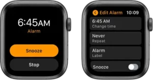 Add an alarm on Apple Watch Manual Image