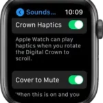Adjust brightness, text size, sounds, and haptics on Apple Watch Thumb