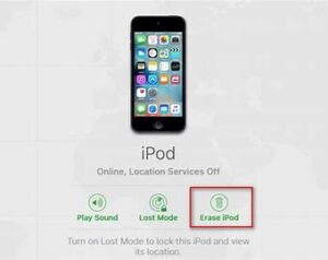Apple Remove a device from Find My on iPod touch Manual Image