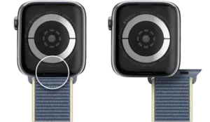 Remove, change, and fasten Apple Watch bands Manual Image