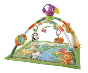 Fisher-Price Raubfirest Music and Lights Deluxe Gym DFP08 Manual Image