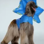 IKEA Hund Couture Frillneck Manual Image