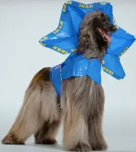 IKEA Hund Couture Frillneck Manual Image
